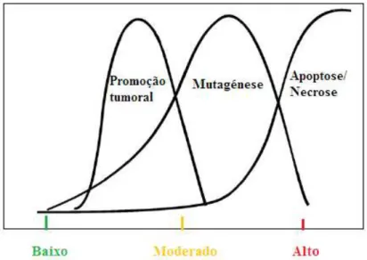 Figura 6. Relação entre o nível de stresse oxidativo e os processos de promoção do  tumor, de mutagénese e de apoptose/necrose (Adaptado de Valko et al., 2007)