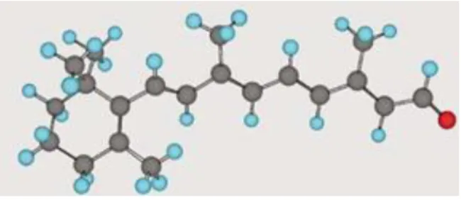 Figura 8: Estrutura molecular do all-trans-retinal (adaptado de (McBee et al., 2001))