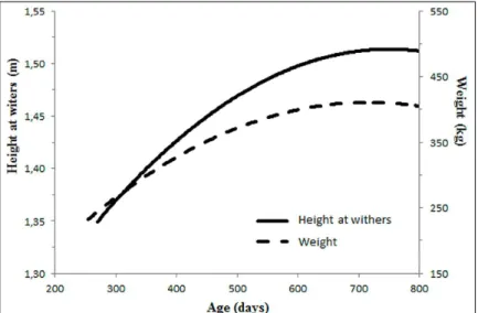 Figure  1  -  Height  at  withers  (m)  and  body  weight  (kg)  estimated  from  No  Defined Breed  (NDB)  horses  of  Brazilian Army,  as  a  function  of  the  age  (days).