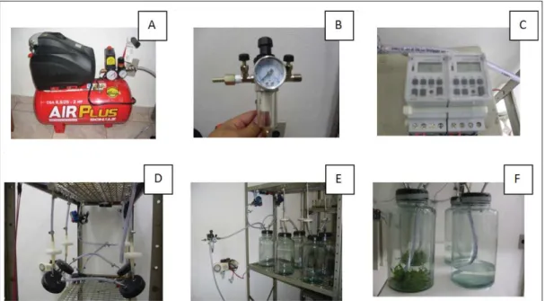 Figure 1 - Air compressor (A), pressure valve (B), temporizer (C), vessels and  ﬁ  lters (D), general aspect of the  equipment (E),  plants cultivated in  temporary immersion bioreactor (F).Source:  Author’s preparing