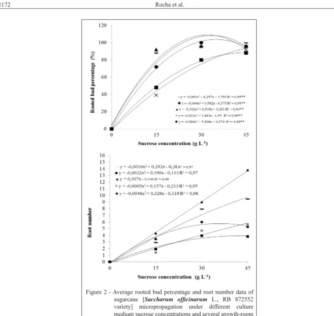 Figure 2 - Average rooted bud percentage and root number data of  sugarcane [Saccharum offi cinarum L., RB 872552  variety] micropropagation under different culture  medium sucrose concentrations and several growth-room  light sources: blue LEDs (); green