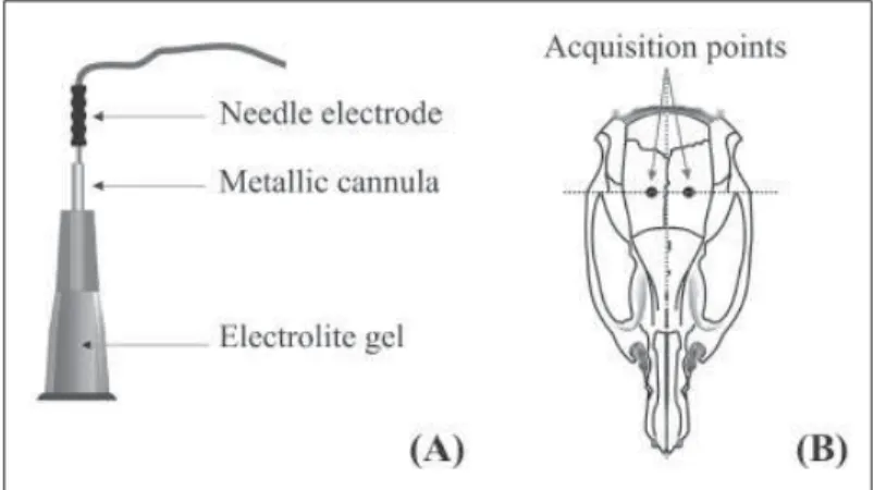 Figure 1 - Representation of the interface to capture electrical brain signals of  rats by a non-invasive method for the EEG