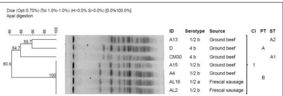 Figure  1  -  Clonal  relationship  of  seven  isolates  of L.  monocytogenes  obtained  by  PFGE  after  digestion  with ApaI  enzyme