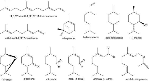Ilustração 4: estruturas de mono e sesquiterpenóides comuns identificados na família  Cucurbitaceae  