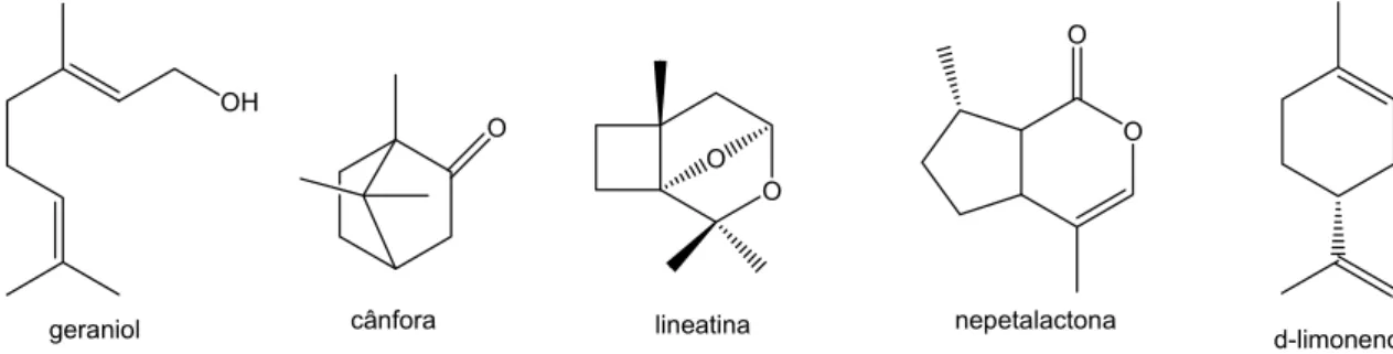 Ilustração 6: alguns ácidos comuns da resina derivados de diterpenos tricíclicos de tipo  pimárico e abiético, segundo Soltes e Zinkel