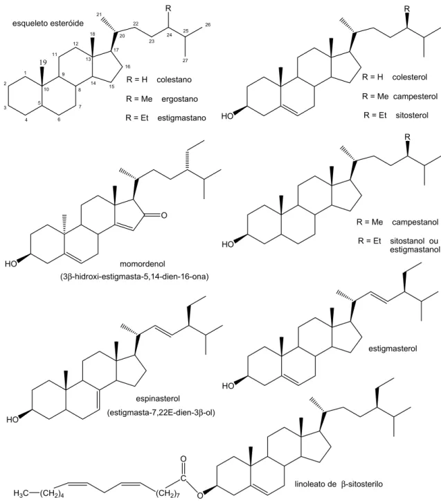 Ilustração 11: estruturas de fitosterois comuns e identificados na Momordica balsamina