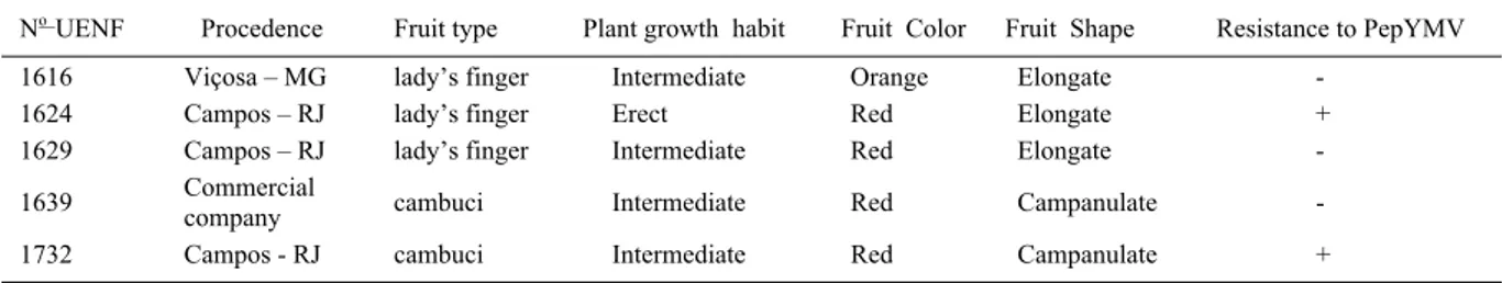 Table 1 - Identification, procedence and agronomic traits of five C. baccatum var. pendulum genotypes.