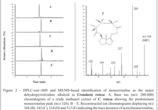 Figure 2 - HPLC-esi(+)MS and MS/MS-based identi ﬁ  cation of monocrotaline as the major  dehydropyrrolizidine alkaloid in Crotalaria  retusa