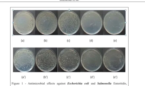 Figure 1 - Antimicrobial effects against Escherichia coli  and  Salmonella  Enteritidis,  respectively, of: no coating (a and a’); essential oil-free coating  (b and b’); coating  with 0.5% (c and c’), 1.0% (d and d’), or 1.5% of mint essential oil (e and 