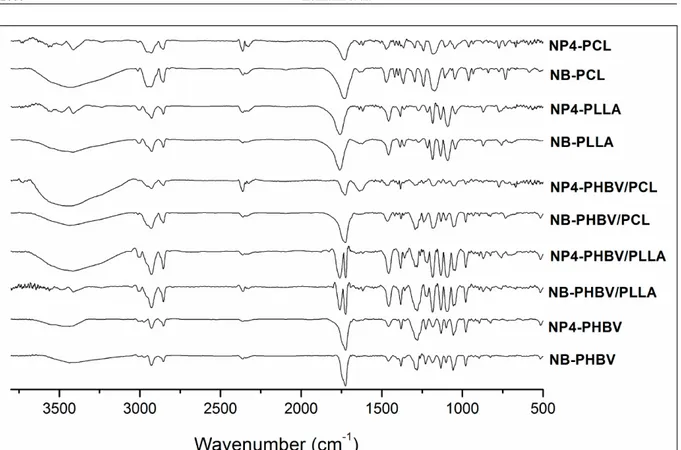 Figure 2 - FTIR spectra of nanoparticles containing progesterone (NP4-PCL, NP4-PLLA, NP4-PHBV/PCL, NP4-PHBV/PLLA and NP4- NP4-PHBV) and blank nanoparticles (NB-PCL, NB-PLLA, NB-PHBV/PCL, NB-PHBV/PLLA and NB-NP4-PHBV).