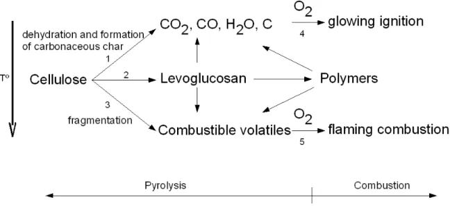 Figure 3.2: The general reactions involved in pyrolysis and combustion of cellulose based on [196, 139]