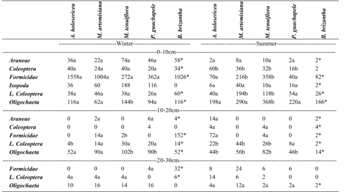 Table 2 - Main soil macrofauna groups under legume treetops and pasture in different depths in the soil in summer and winter