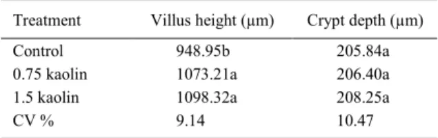 Table 3 - Height of intestinal villi and depth of intestinal crypts in the duodenum of broiler chickens fed with different levels of kaolin.