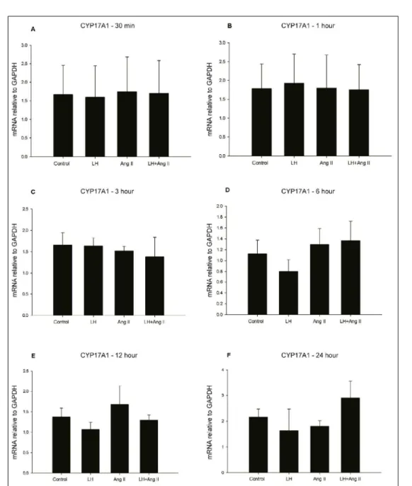 Figure 1 - Ang II effect on steroidogenesis in bovine theca cells cultured in vitro at different periods of treatment