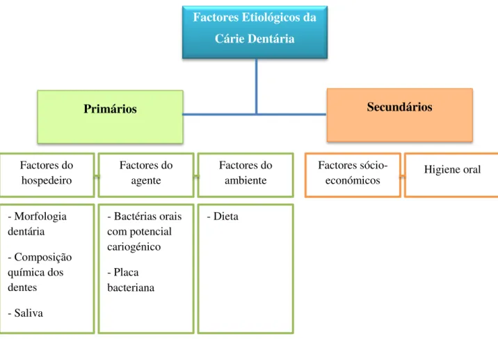 Figura 2  –  Factores etiológicos da cárie dentária 