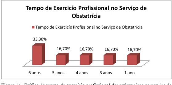 Figura 14. Gráfico do tempo de exercício profissional das enfermeiras no serviço de  Obstetrícia 