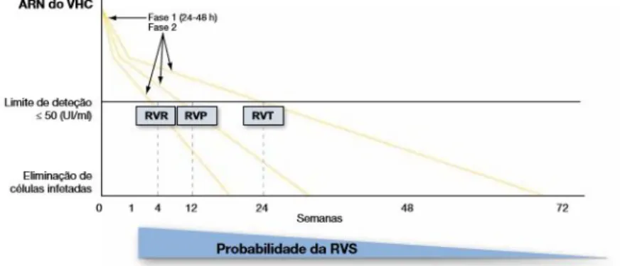Figura 9. Probabilidade da RVS de acordo com a resposta viral nas primeiras semanas com a terapêutica dupla sob PegIFN/RBV (EASL 2014).