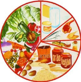 Figura 1 – Roda dos Alimentos. 