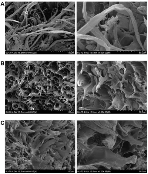 Fig. 4A corresponds to the unmodiﬁed ﬁbers in a LDPE matrix and clearly shows that the interfacial adhesion between the  cellu-lose ﬁbers and the matrix was very poor