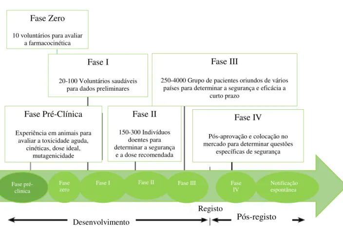 Figura 1 – Fases do Ensaio clínico, adaptado de OMS Home Page. 