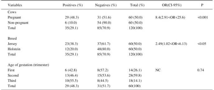 Table 1  Outcome of association between variables and presence of antibodies for Toxoplasma gondii (Indirect Fluorescent Antibody Test- Test-IgG) in slaughtered pregnant dairy cows
