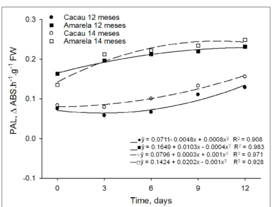 Figure 2 - Phenylalanine ammonia lyase activity on fresh-cut cassava sticks, from cultivar ‘Cacau’ harvested at 12  months ( ● ) and 14 months ( ○ ), and cultivar ‘Amarela’ harvested at 12 months ( ■ ) and 14 months ( □ ),  stored at 5°C for 12 days.