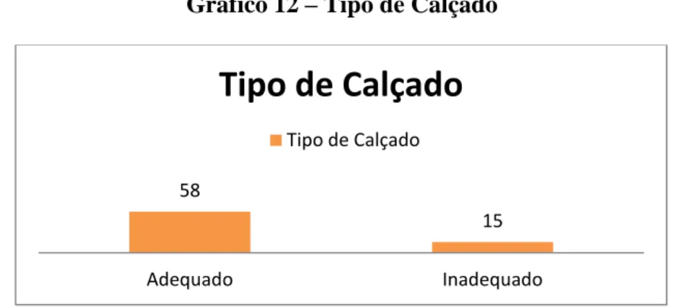 Gráfico 12 – Tipo de Calçado 