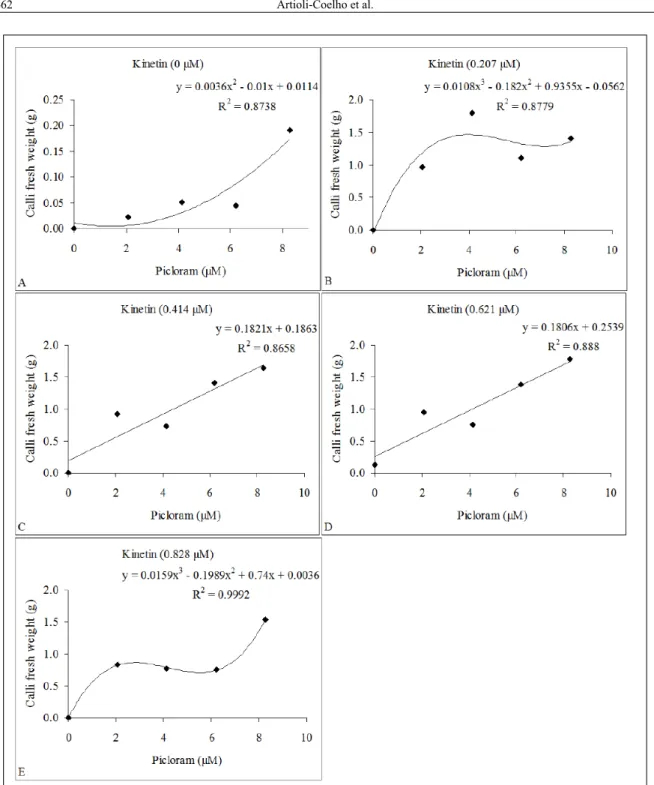 Figure 1 - Fresh weight (g) of calli induced from leaf explants of Passiflora gibertti as a function of the combination of the auxin  Picloram and the cytokine Kinetin