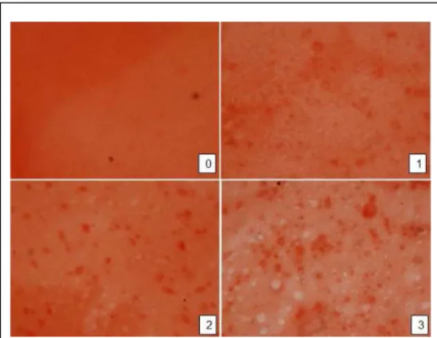 Figure 2 – Optical microscopy of the films (500µm): without  nanocarbonate (0), 1% nanocarbonate (1), 2% 