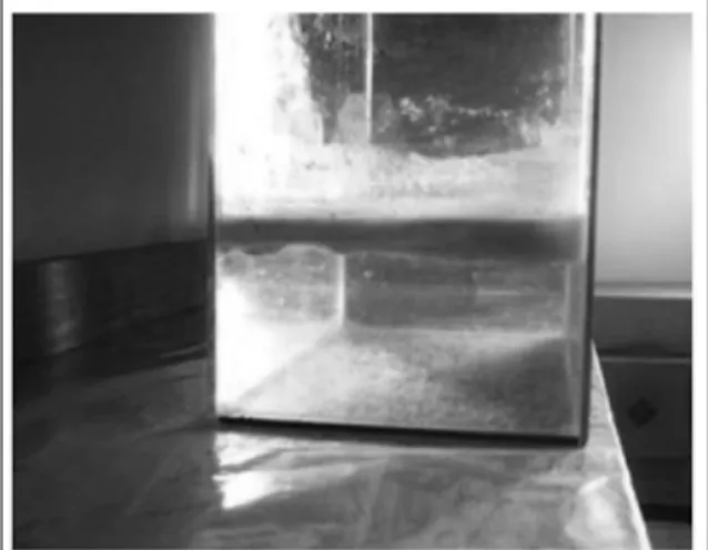 Figure 1 - Phase separation after treatment by electrocoagulation. 