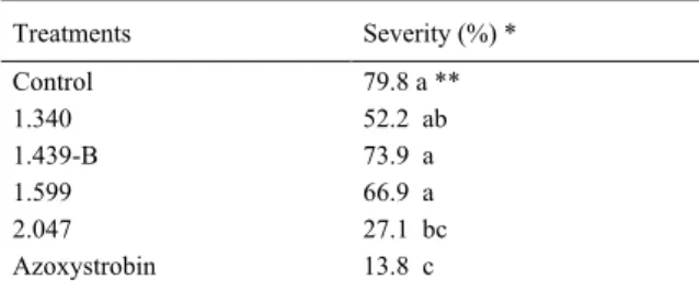 Table 2 - Severity of black Sigatoka 60 days after inoculation of banana plants in the field.