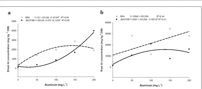 Figure 1 - Aluminum concentration in shoots (a) and root (b) of Pfaffia glomerata BRA and JB accessions exposed to Al concentrations.