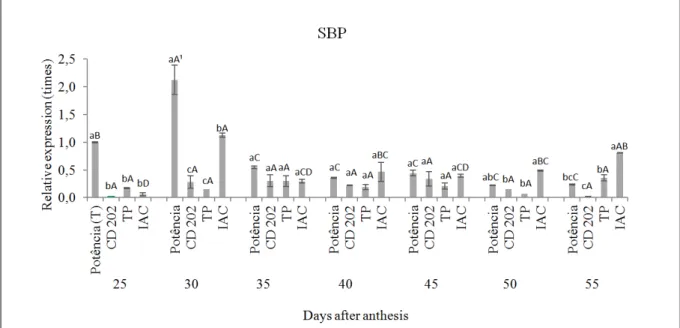 Figure 1 shows gene expression results  for the SBP gene, homologous to the one studied by  GRIMES et al