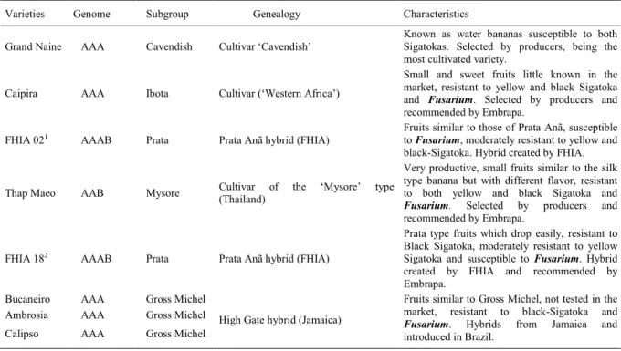 Table 1 - Genomic and physical characteristics of banana varieties.