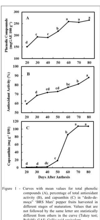 Figure 1 - Curves with mean values for total phenolic  compounds   (A), percentage of total antioxidant  activity (B), and capsanthin (C) in  “dedo-de-moça” ‘BRS Mari’ pepper fruits harvested in  different stages of maturation