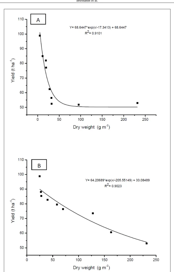 Figure 2 - Correlation between the estimated stalk yield of sugarcane cultivar ‘RB855536’ and accumulated dry  weight of velvet bean under different coexistence (A) and (B) weed-free (control) periods