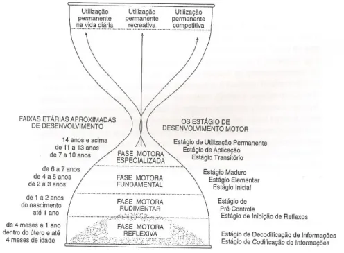 Fig. 1 - As Fases do Desenvolvimento Motor (Gallahue e Ozmun, 2003: p. 100) 