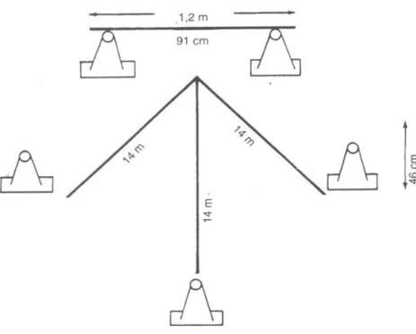 Fig. 6 - Marcação de campo para teste de passe, proposto por Mor - Christian (1979) 