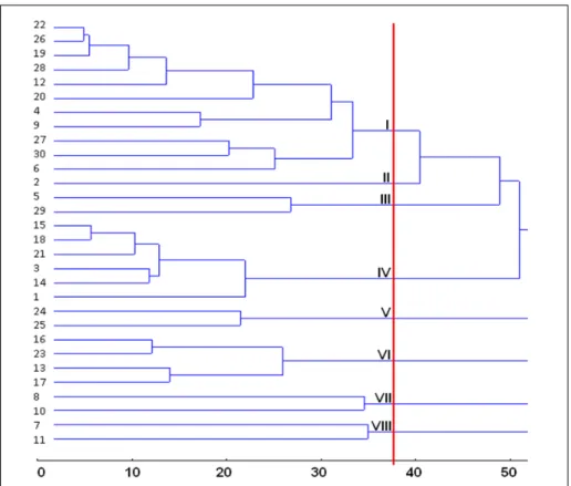 Figure  1  -  Dendrogram  of  genetic  dissimilarities  obtained  by  the  Tocher  method,  based  on  nine  quantitative descriptors among 30 accessions of pepper of the germplasm bank of the  Campus Alegre.