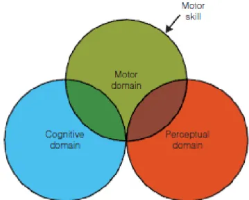 Figura  2.  Inclusão  dos  aspetos  cognitivos  e  percetuais  nas  habilidades  motoras,  Edwards  (2011:36)