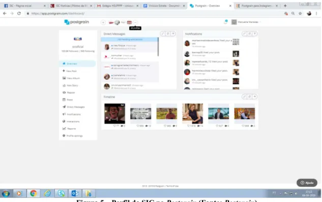 Figura 5 – Perfil da SIC no Postgrain (Fonte: Postgrain)