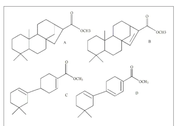 Figure 1 - Structure of phytoalexins produced by corn plants.