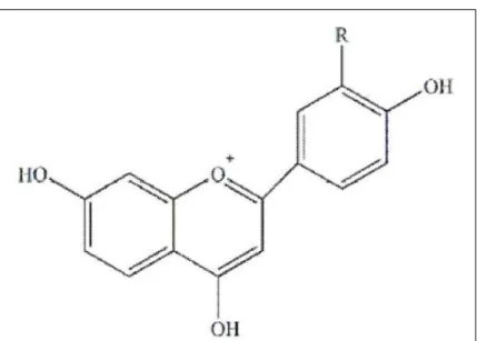 Figure 2 - Structure of phytoalexins produced by sorghum.