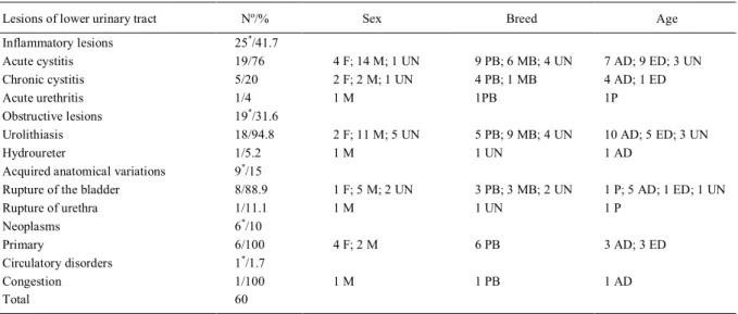 Table 2 - Classification of 60 lesions of lower urinary tract.