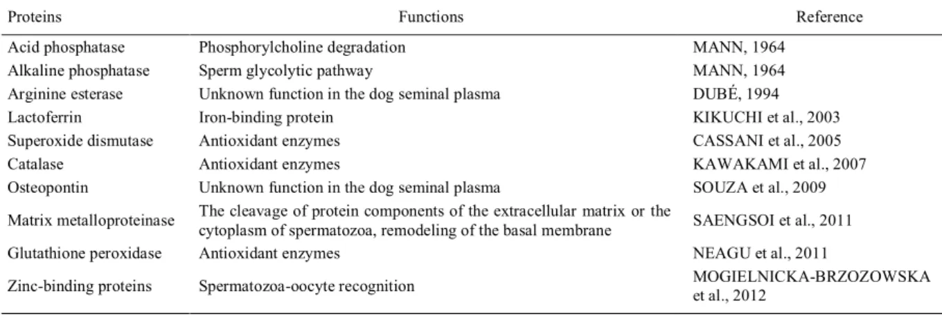 Table 1 - Proteins of the canine seminal plasma and their functions.