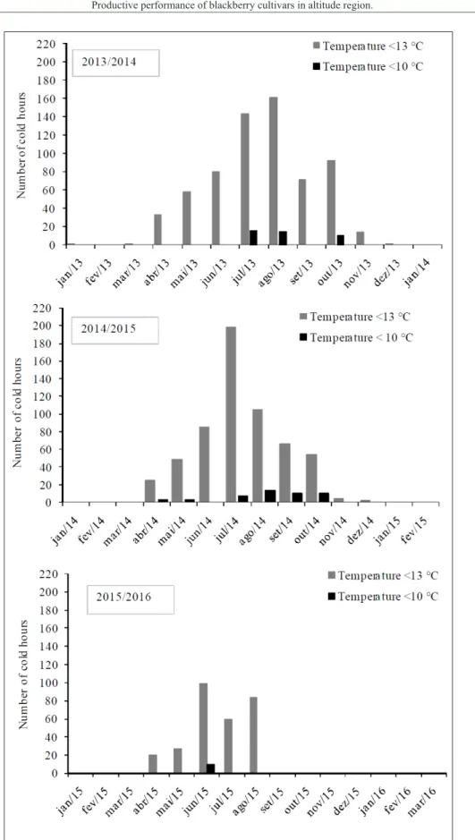 Figure 1 - Accumulation of cold hours with temperatutes lower than 13ºC and 10ºC in 2013/2014,  2014/2015 and 2015/2016 for blackberry cultivars growing in a high-altitude region.