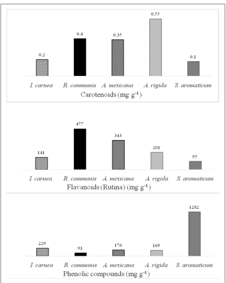 Figure 1 - Carotenoid, flavonoid (rutin), and phenolic compound content (mg g -1 ) of the  different plant species.