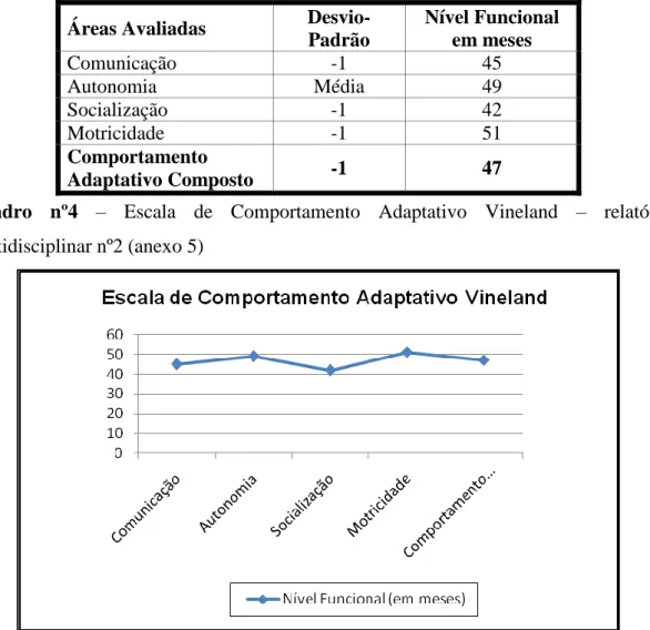 Gráfico 4: Escala de Comportamento Adaptativo Vineland (2ª Avaliação)