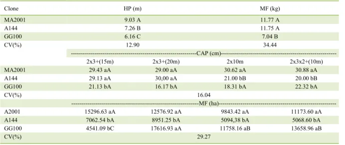 Table  3   -  Height  of plants  (A),  fresh biomass  of branches  and  leaves  per  plant  (MF),  circumference  at  chest  height  (CAP)  and  fresh  biomass of branches and leaves per hectare (MF) of different eucalyptus clones
