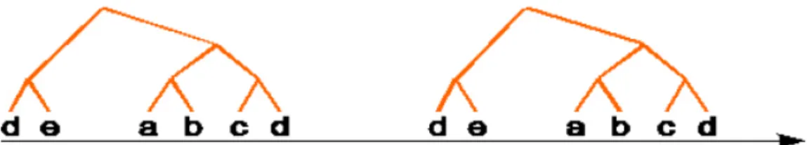 Figura 4 - Processamento da detecção de padrões (citado por Freiras, 2007). 